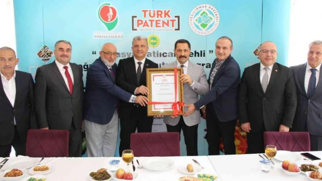 'Amasya patlıcan pehli' yemeğine coğrafi işaret tescili