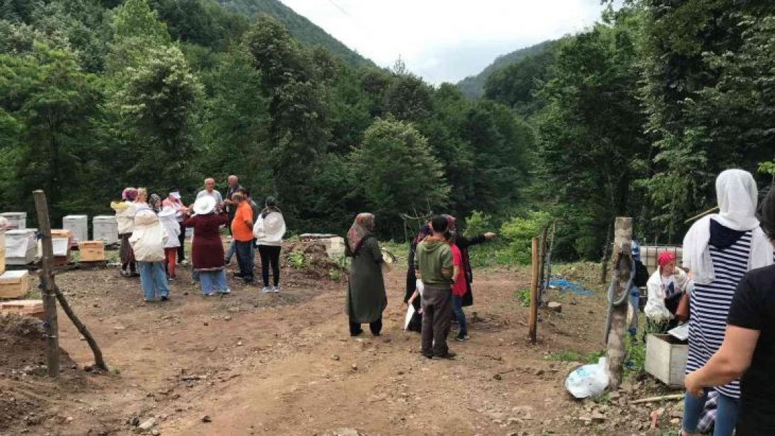 'Arı gibi çalışkan' kadınlar arı üretimi eğitiminde