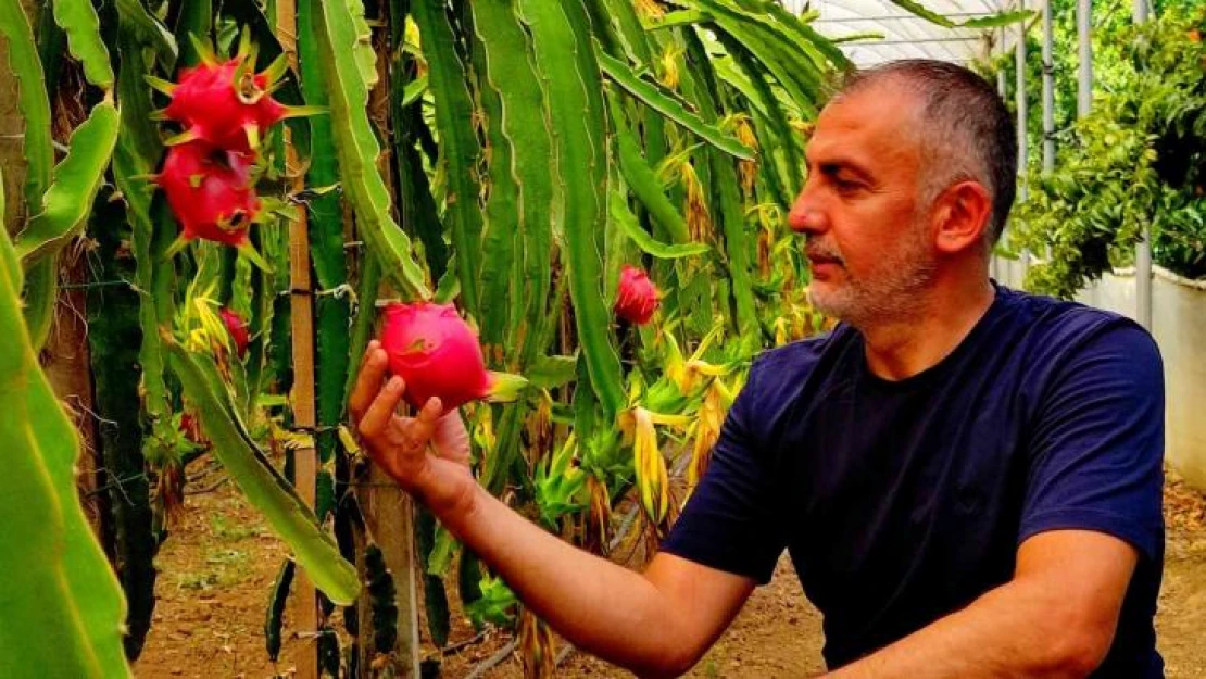 'Batarsın' diyenleri dinlemedi şimdi servet kazanıyor