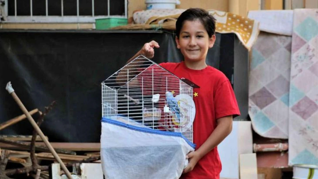 'Hayat arkadaşım' dediği kuşu Antalya'da kayboldu, Mersin'de bulundu