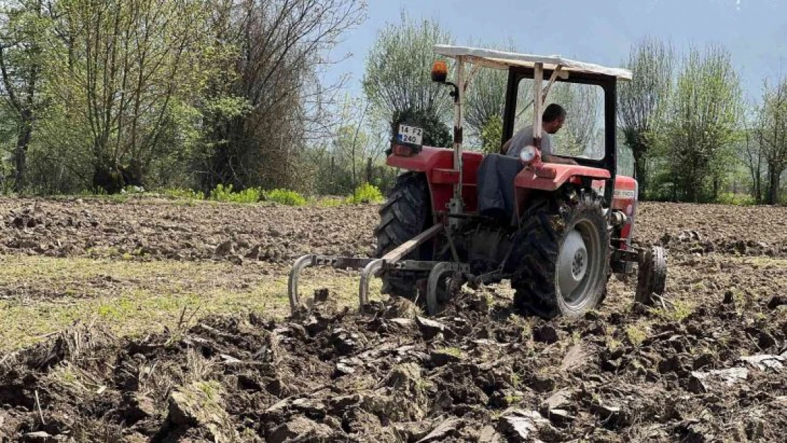 'Ne ekersen onu biçersin' atasözü bu topraklarda gerçek oldu