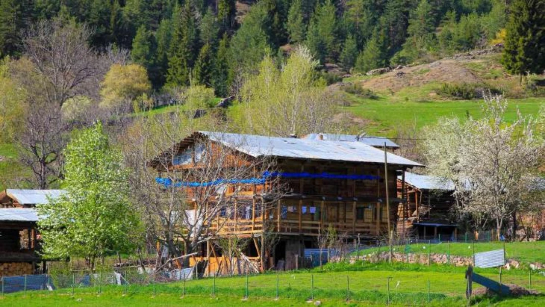 'Sakin Şehir' Şavşat'tan ilkbahar manzaraları