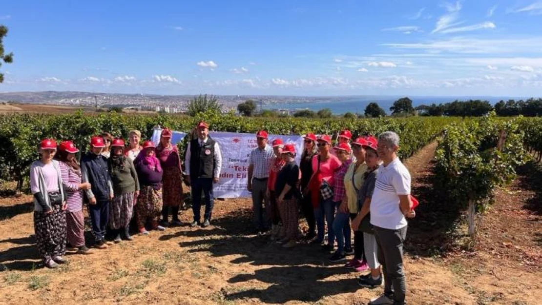 'Tekirdağ bağları kadın eliyle güzelleşiyor' projesi tamamlandı