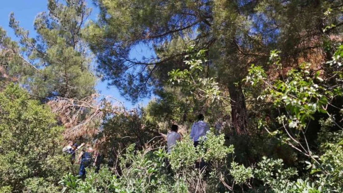 1 aydır kayıptı, ağaçta asılı bulundu