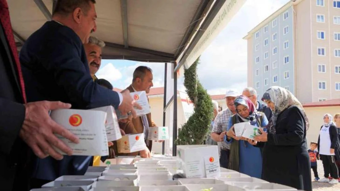 100 bin adet sebze fidesi ücretsiz dağıtıldı: Vatandaşlar alabilmek için kuyruk oluşturdu