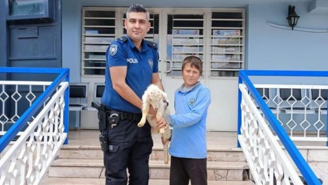 12 yaşındaki Aykut ile yavru keçi 'Saniye'yi, polis kavuşturdu