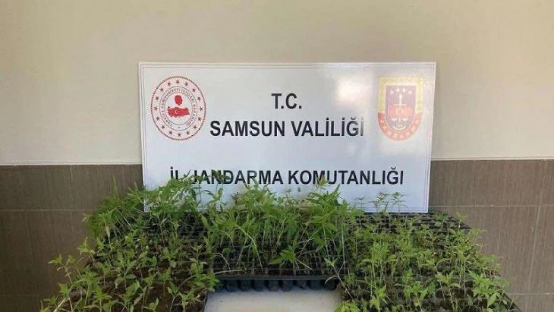 Samsun'da 16 olayda 22 şüpheli gözaltına alındı