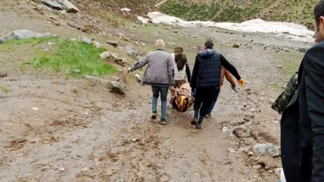 5 ay önce çığ altında kalan 3 İranlının cesedi bulundu