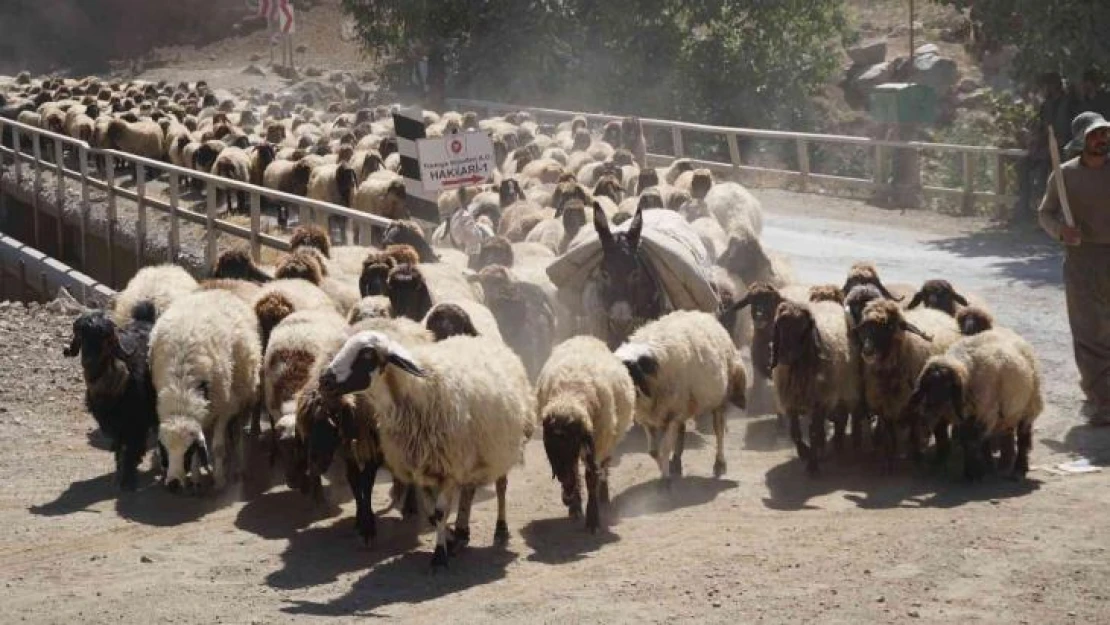 5 aydır yaylada olan göçerler dönüş yolunda