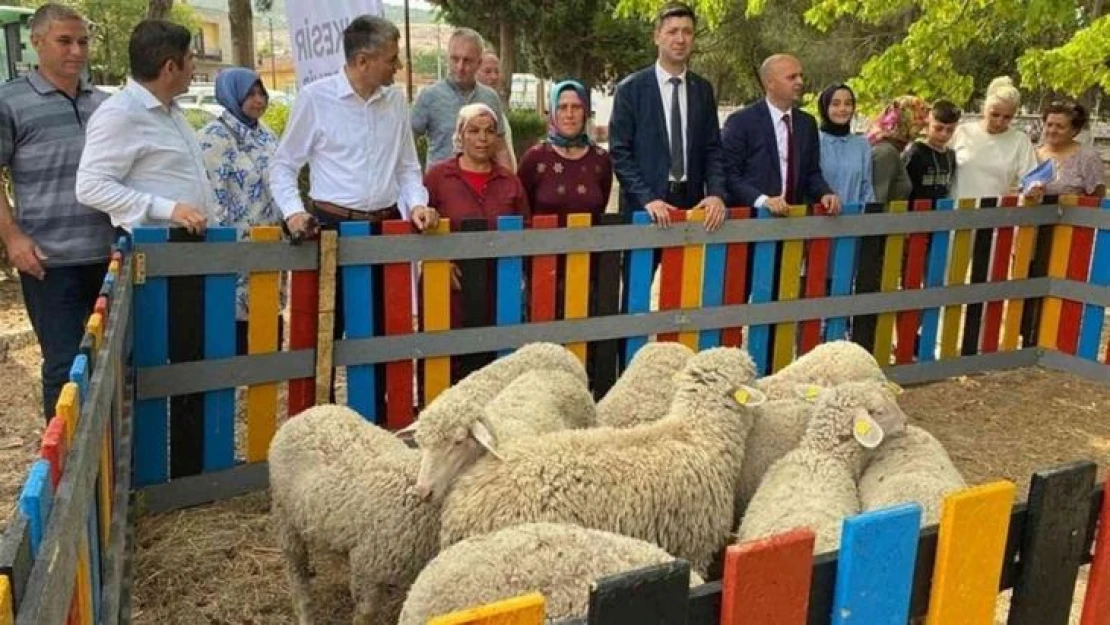 5 ton atık topladı, 10 kuzu kazandı