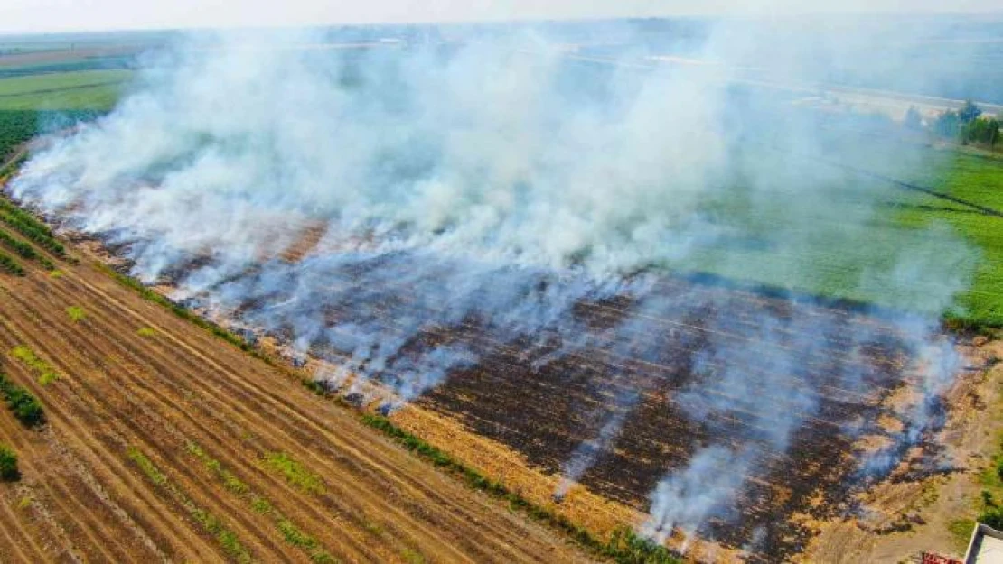 Adana'da anız yangınları kenti dumana boğuyor