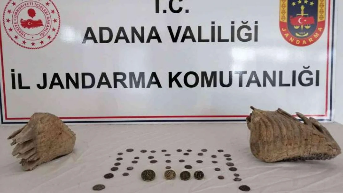 Adana'da mamut fosili ele geçirildi