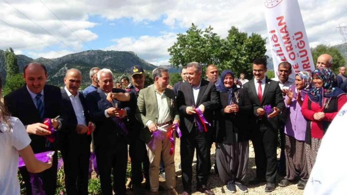 Adana'da Tapan 1. Turizm ve Lavanta Festivali kadınların başarısı damga vurdu