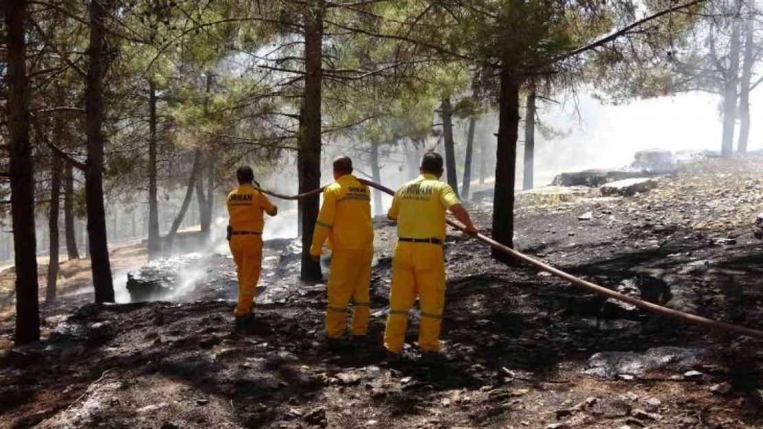 Adıyaman'da orman yangını korkuttu