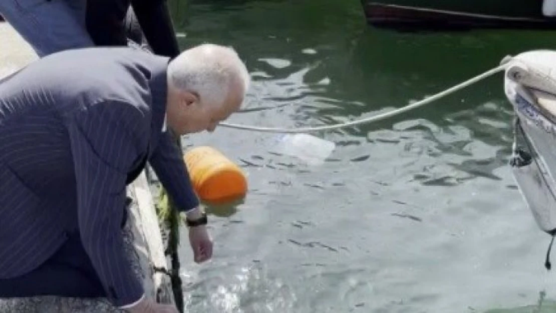 Ağa takılan caretta carettayı belediye başkanı kurtardı