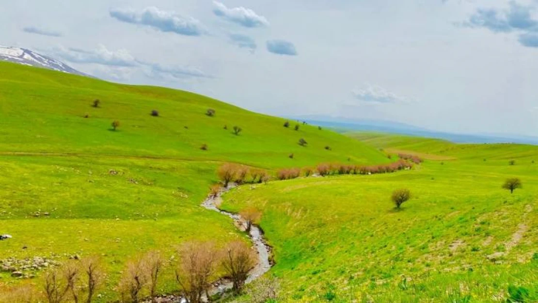 Ağrı'da yeniden canlanan doğa büyülüyor