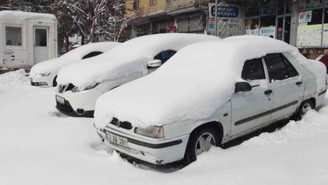 Ahlat'ta yoğun kar yağışı