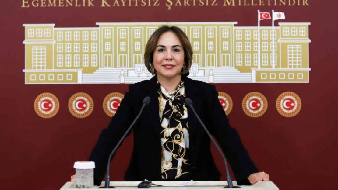 AK Parti'li Yılmaz: 'Çiftçi ve üreticilerimize yaklaşık 200 milyon lira destek yapılacak'