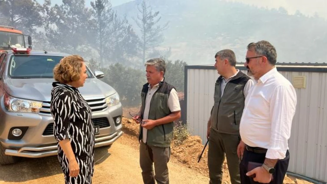 AK Parti'li Yılmaz yangın bölgesinde incelemelerde bulundu