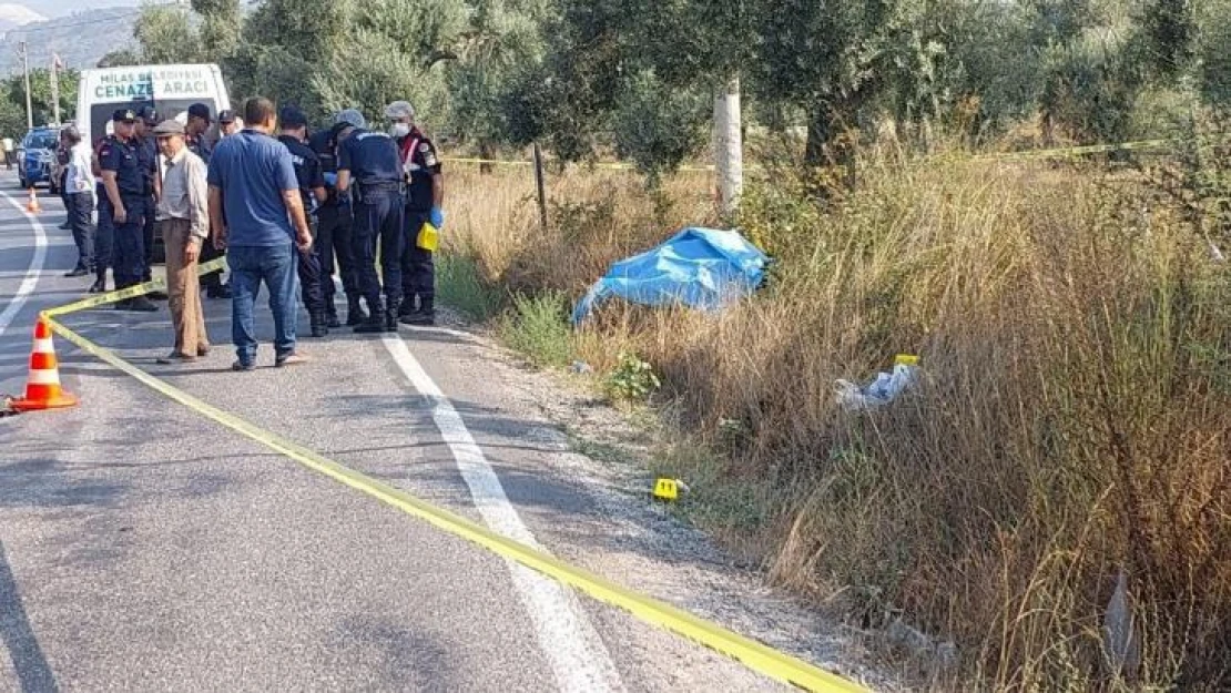 Akşam eve dönmedi, yol kenarında ölü bulundu