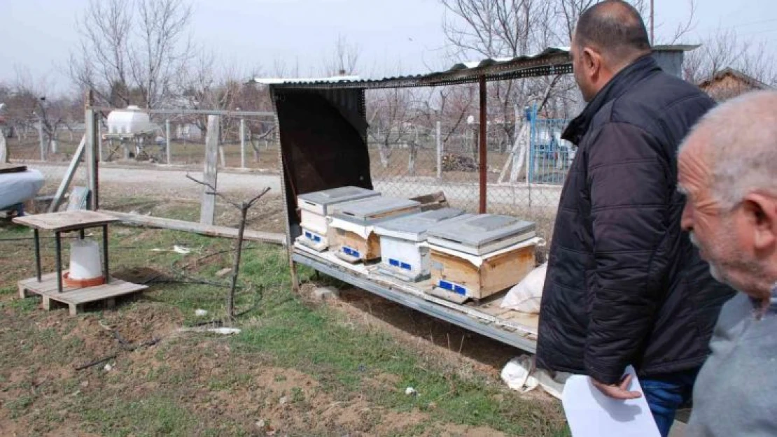 Akyurt'ta amatör arıcılara yüzde 100 destek