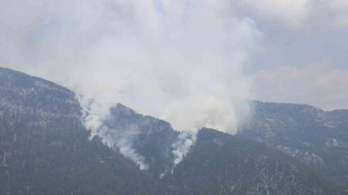 Alanya'da orman yangını