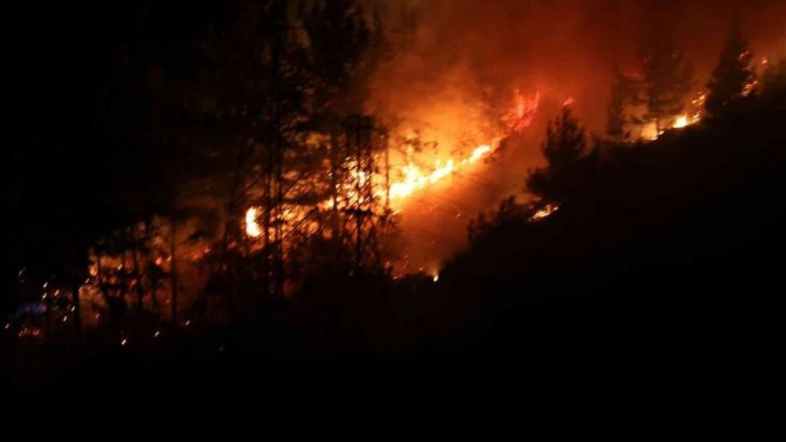 Alanya'da orman yangınında 3 dekar alan zarar gördü