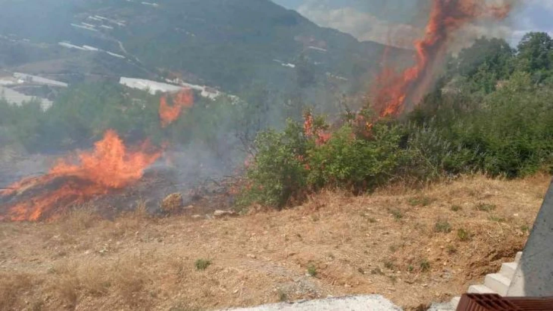 Alanya'da tarım arazisinde başlayan yangında 10 dönüm zarar gördü