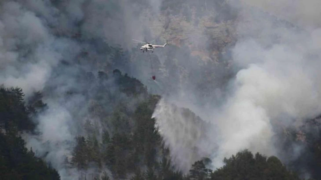 Alanya'daki orman yangını kısmen kontrol altına alındı