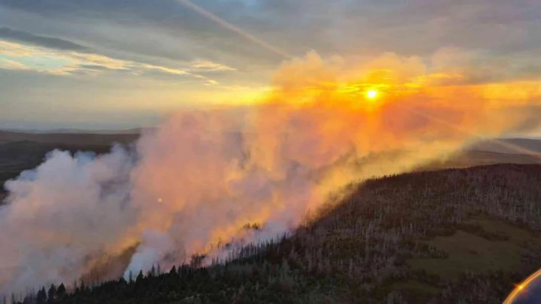 Almanya'daki Harz Dağları'nda orman yangını