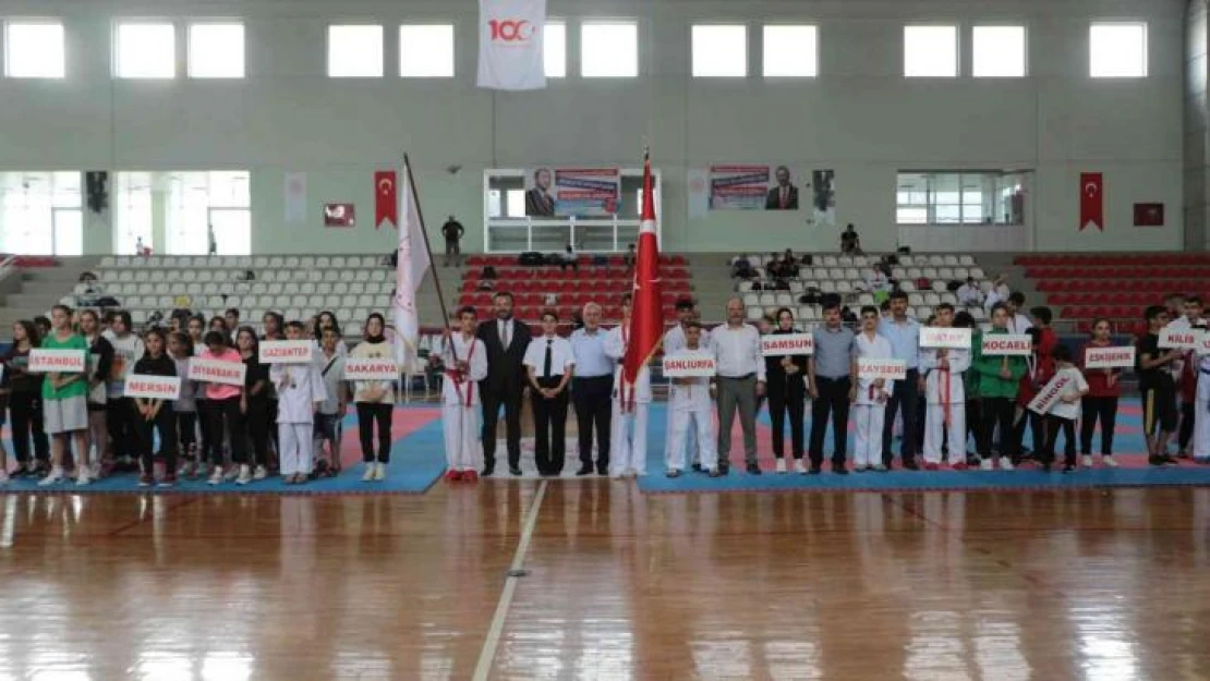 Anadolu Yıldızları Ligi karate finalleri İskenderun'da başladı