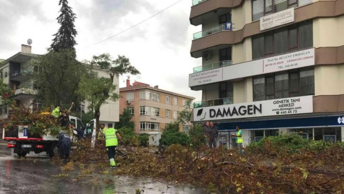 Ankara'da etkili olan fırtına ağaçların devrilmesine neden oldu