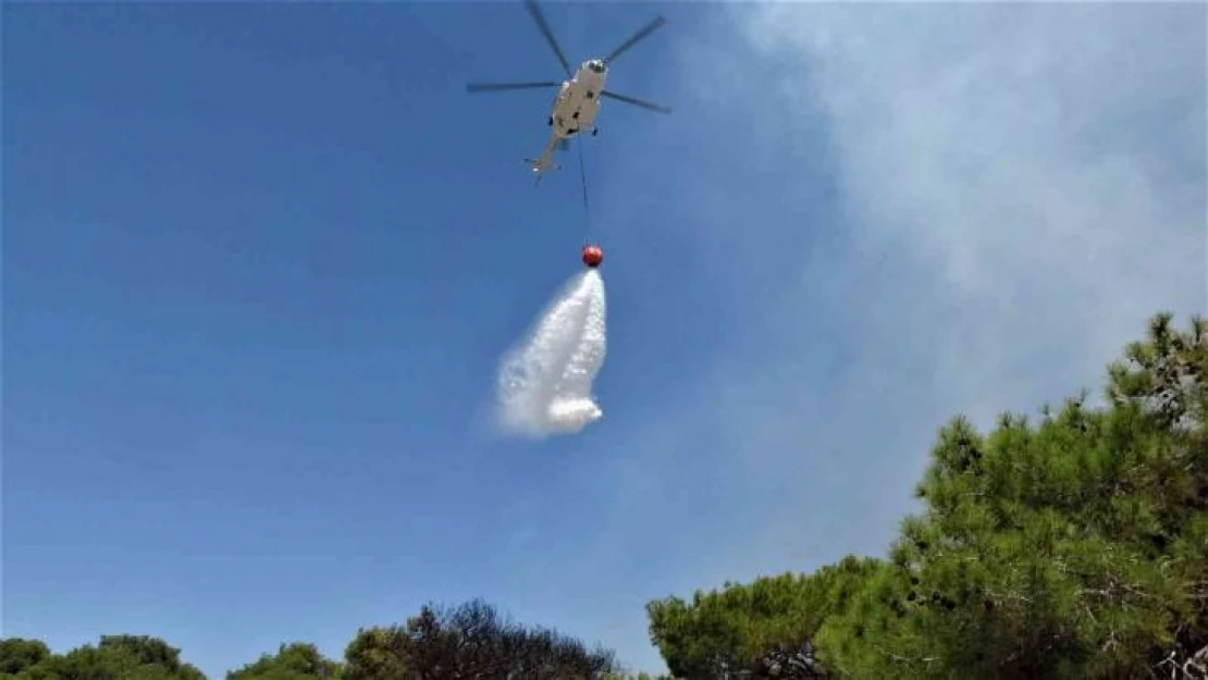 Antalya'da çamlık alandaki yangın kontrol altına alındı