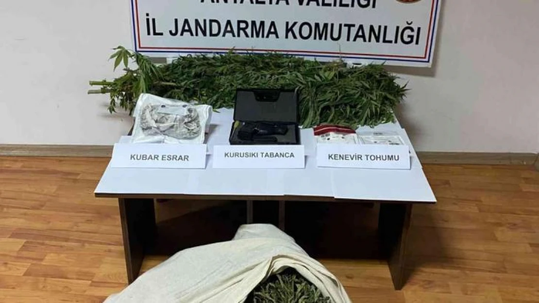 Antalya'da evinin bahçesindeki serada kenevir yetiştiren şahıs yakalandı