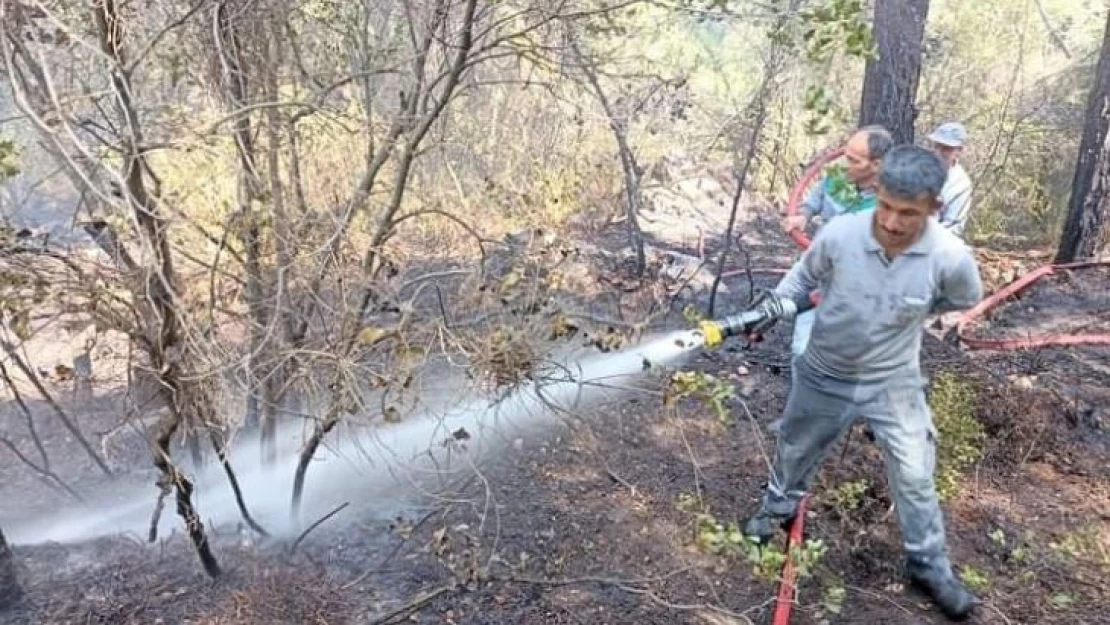 Antalya'da orman yangını büyümeden söndürüldü