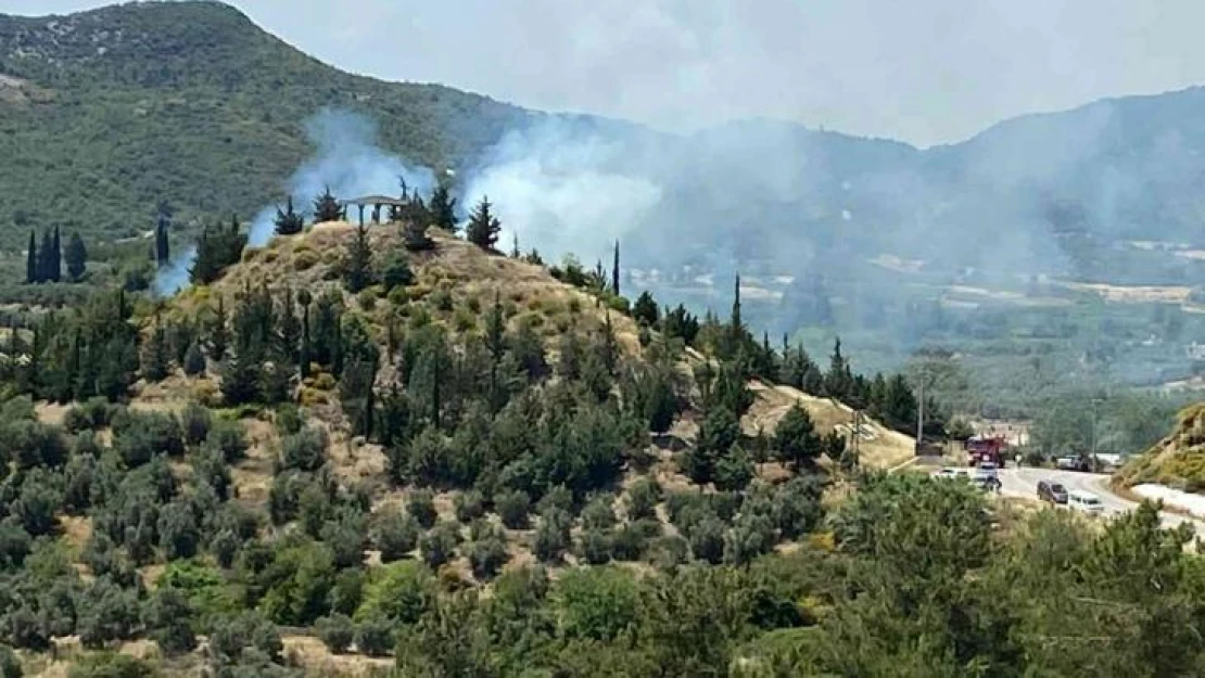 Antalya'da orman yangını büyümeden söndürüldü