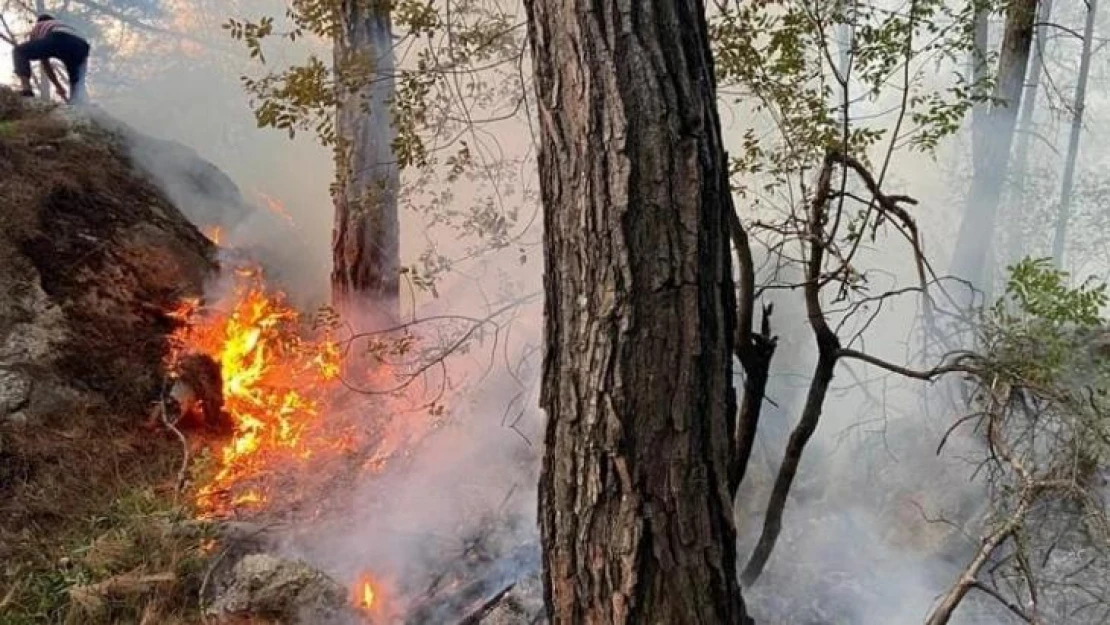 Antalya'da orman yangını