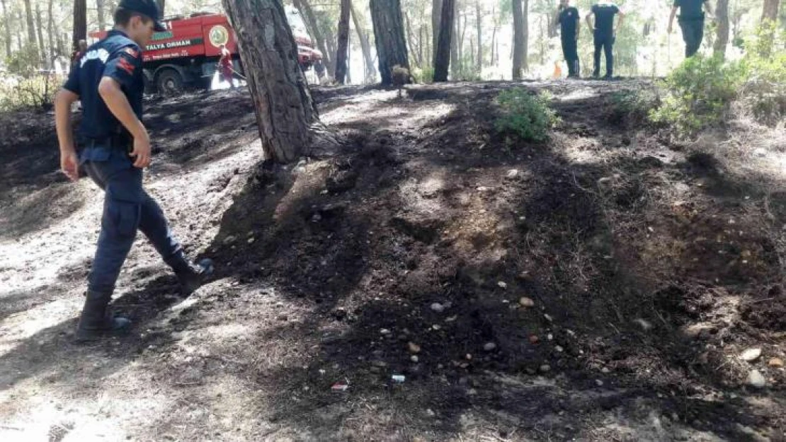 Antalya'da ormanlık alanda çıkan yangında kibrit kutuları bulundu