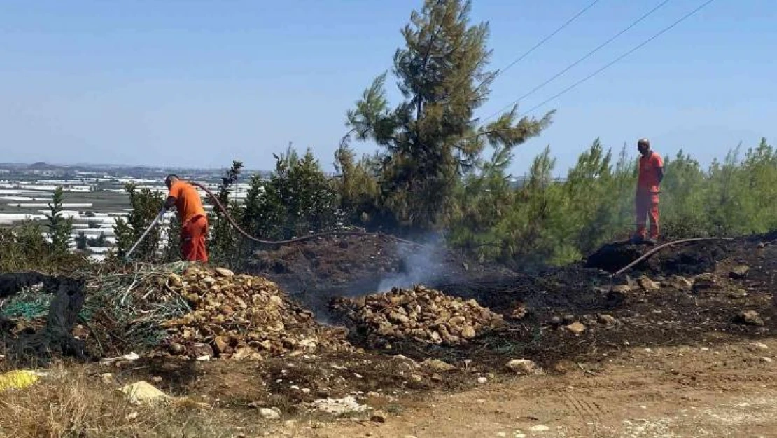 Antalya'da ormanlık alanda çıkan yangın korkuttu