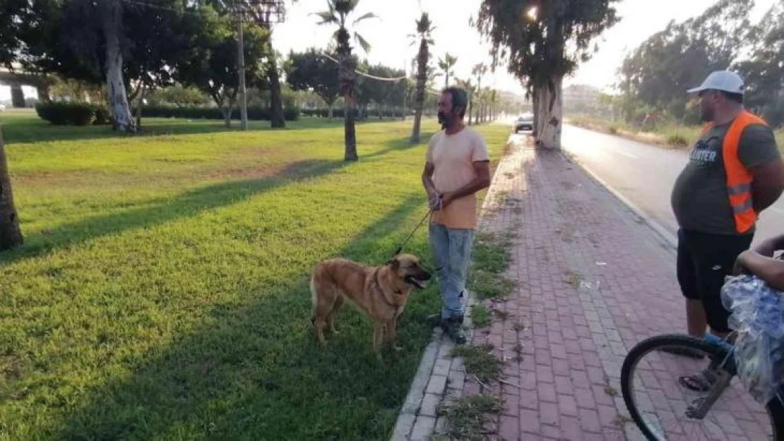 Antalya'da otluk alanda köpek tarafından bulunan cesedin kimliği belirlendi