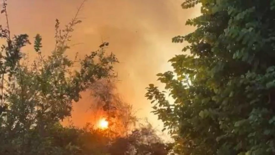 Antalya'da plaja yakın bölgede çıkan yangın korkuttu