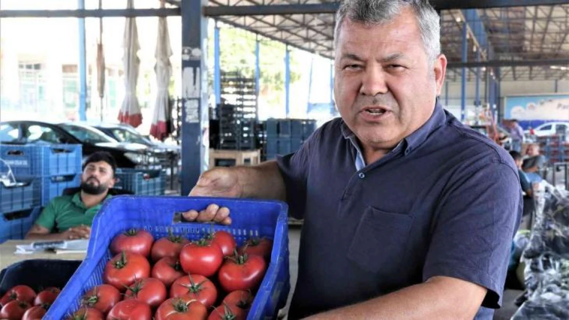 Antalyalı çiftçilerin domatese talebi yüzde 30 arttı