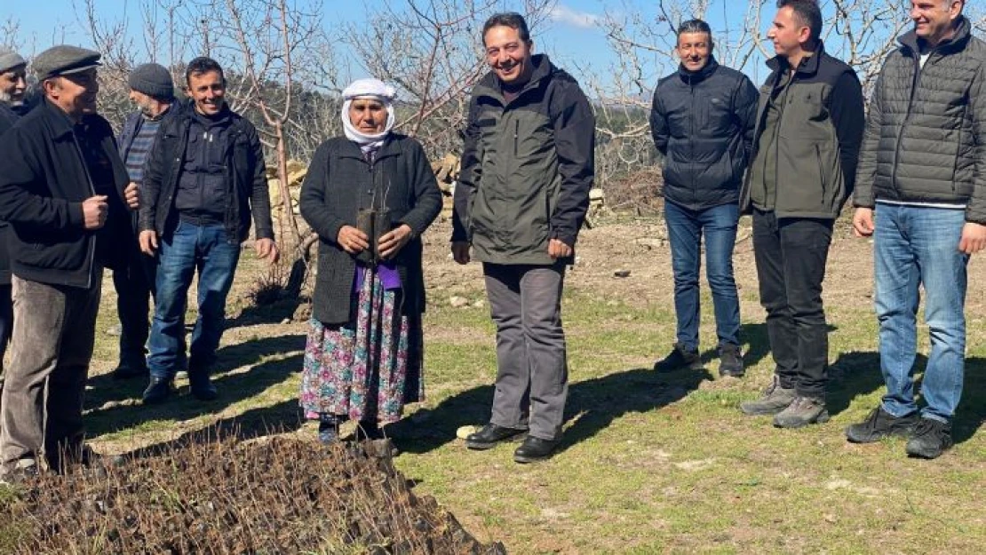 Antep fıstıkları ormanla buluştu