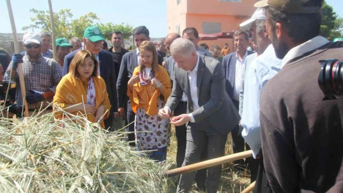 Araban'da festival coşkusu