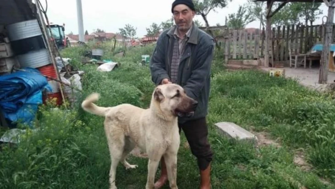 Arazi kavgasında baba yaralandı, oğlu hayatını kaybetti