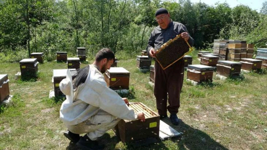 Arıcıların besleme için şeker talebi