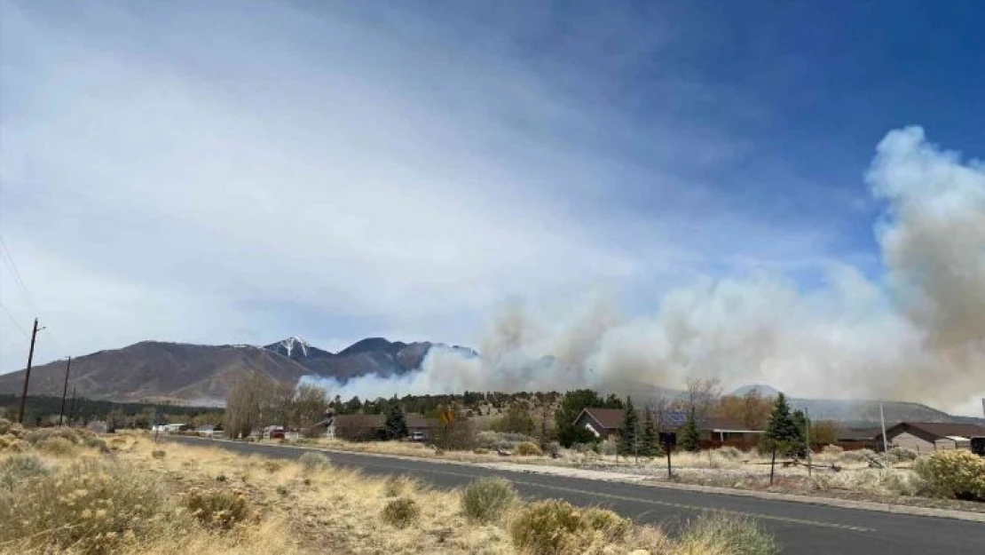 Arizona'da orman yangını şiddetli rüzgarın etkisiyle giderek yayılıyor