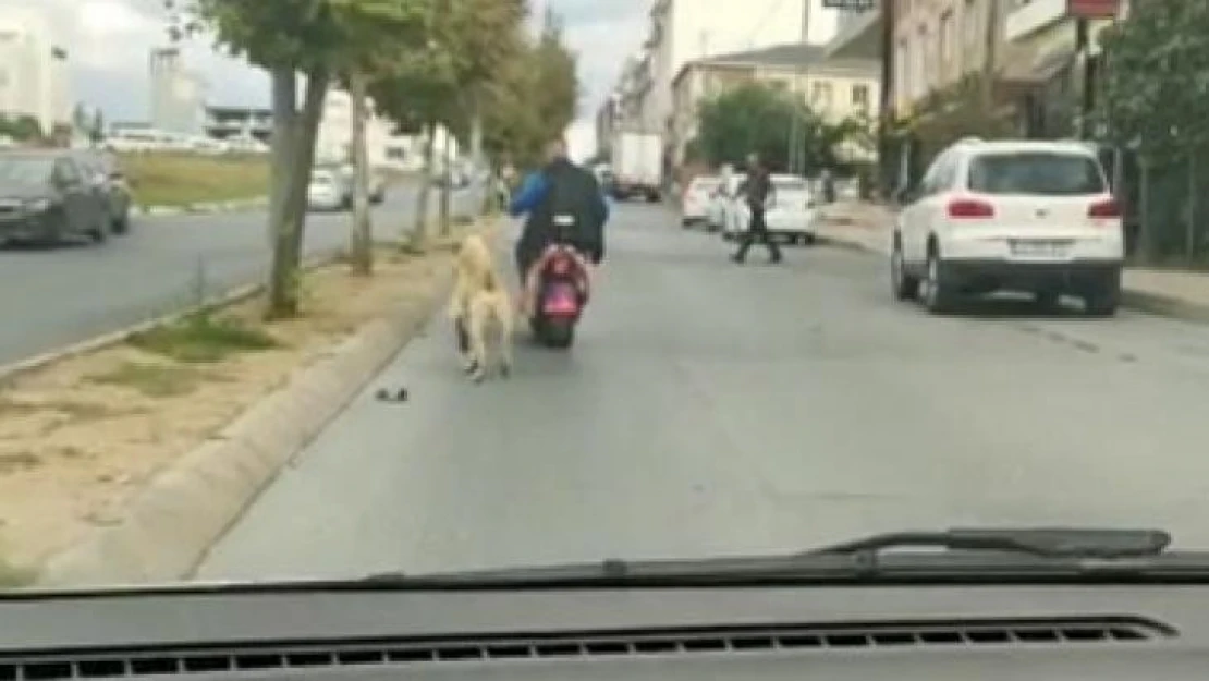 Arnavutköy'de köpeği motosikletine bağlayarak götüren şahsa tepki