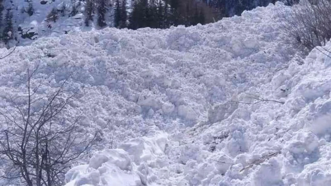 Artvin'de çığ köy yolunu ulaşıma kapattı