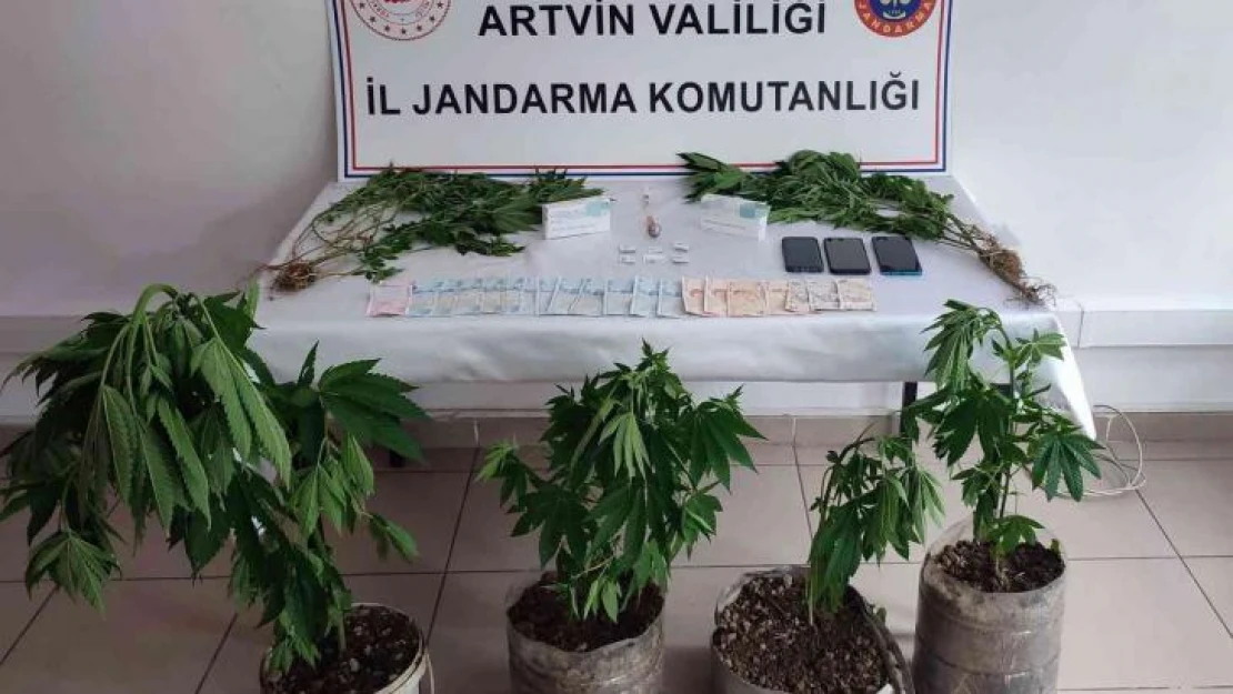 Artvin'de jandarmadan uyuşturucu operasyonu: 3 tutuklama